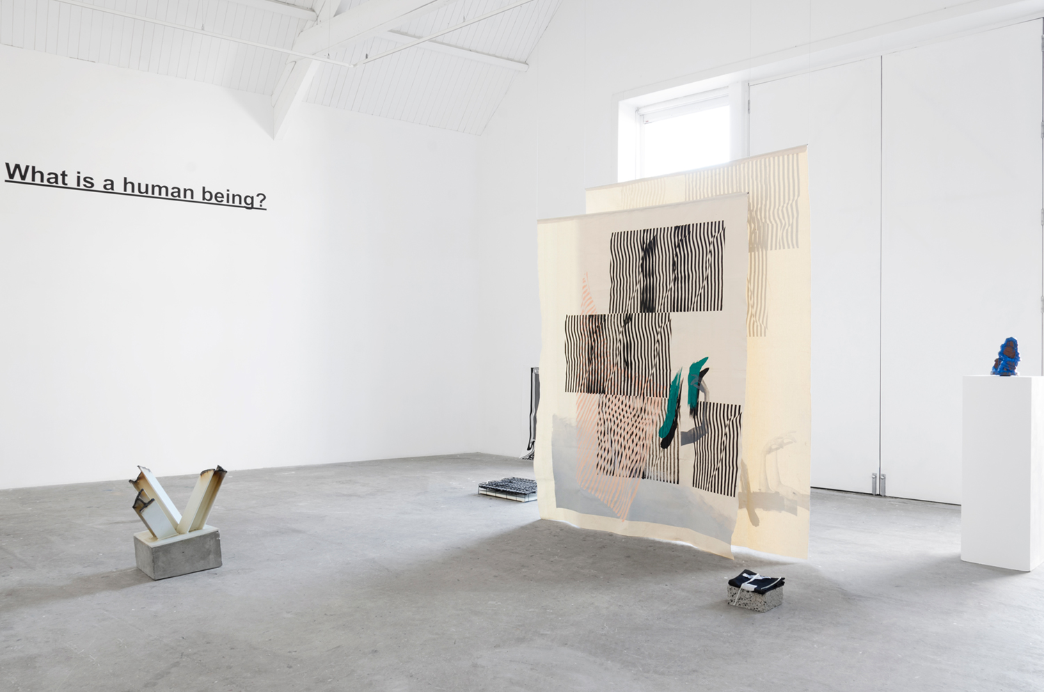 Fay Nicolson, Exquisite Collapse