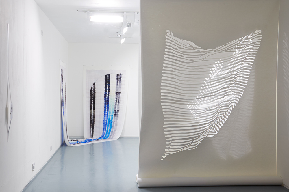 Fay Nicolson, PARE