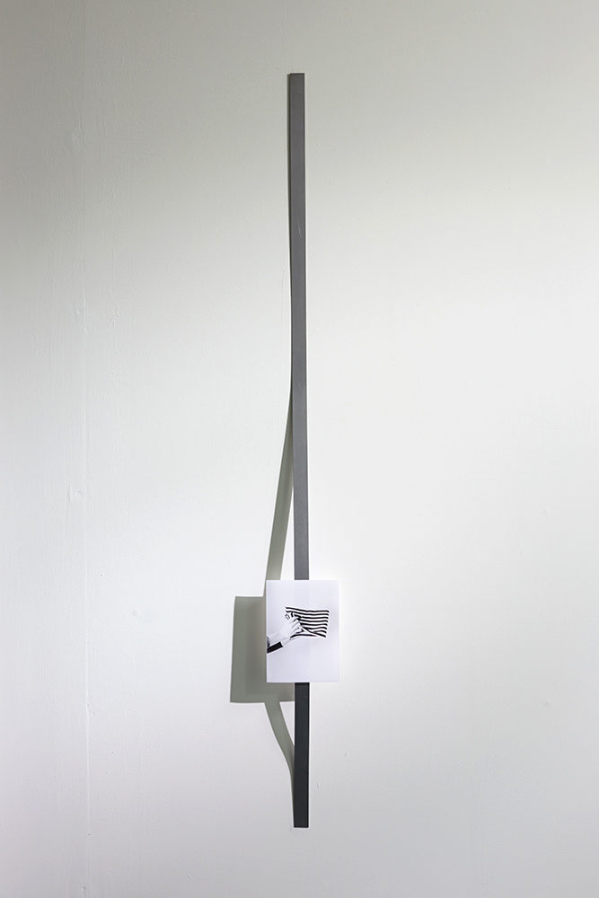 Fay Nicolson, PARE