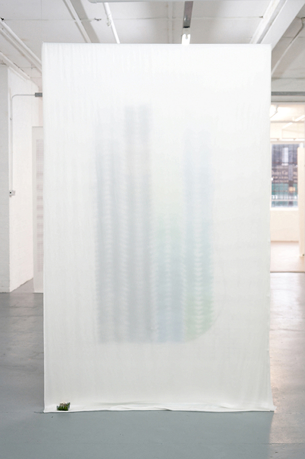 Fay Nicolson, APEL