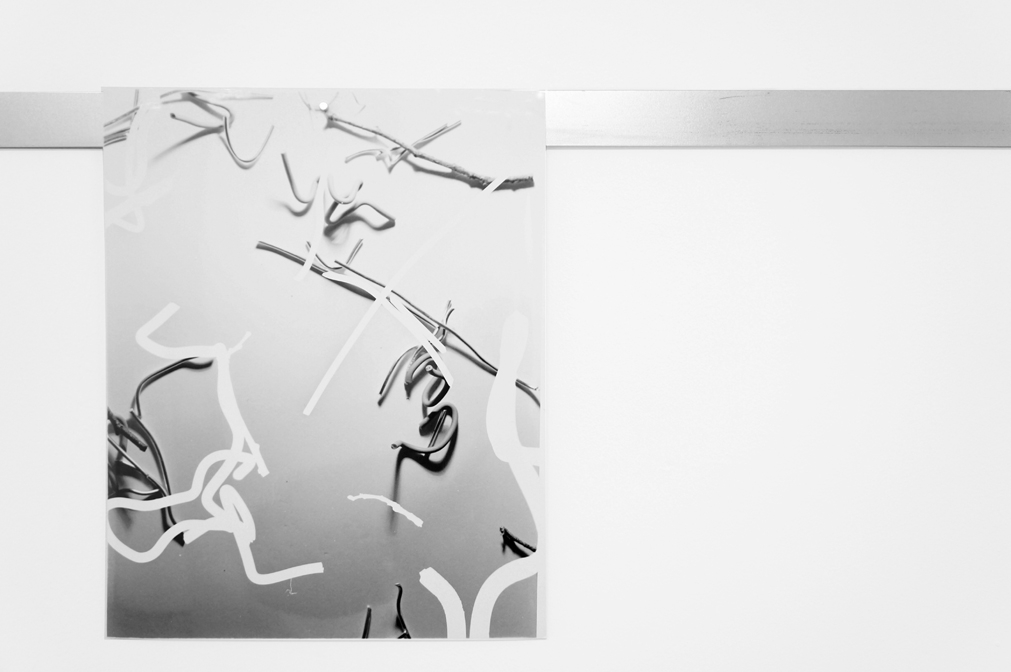 Fay Nicolson, APEL