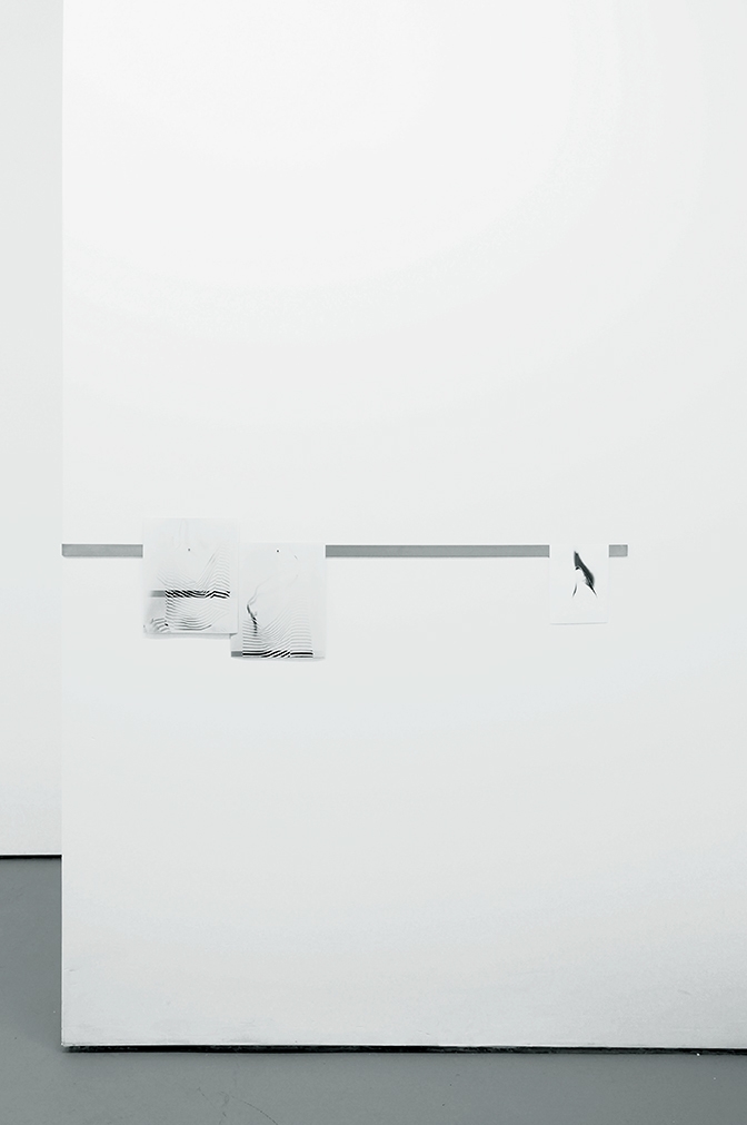 Fay Nicolson, APEL