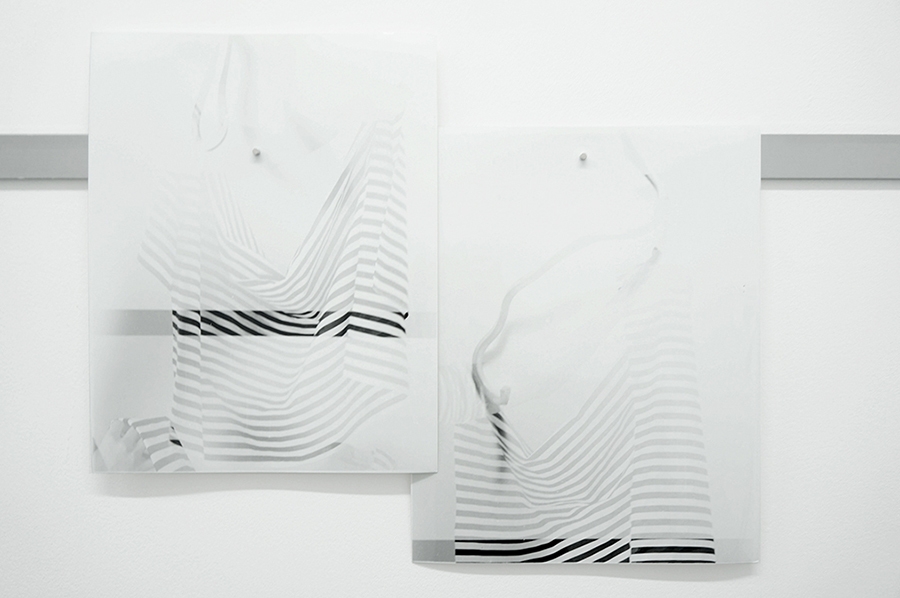 Fay Nicolson, APEL